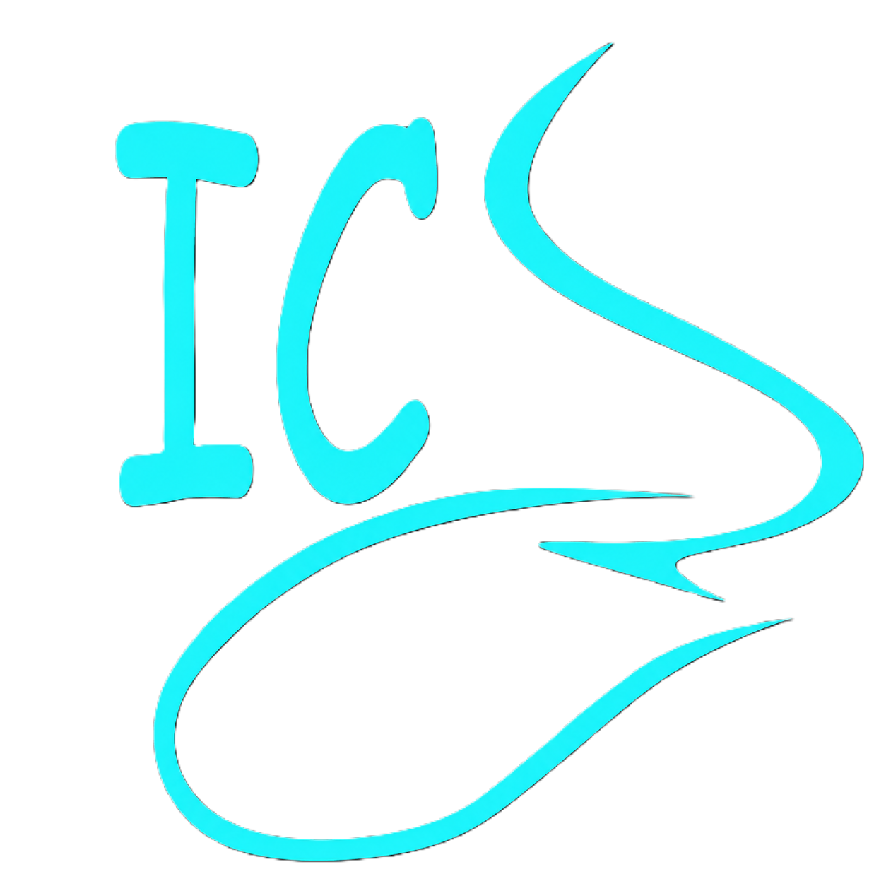 INET COMPUTER SYSTEMS Logo